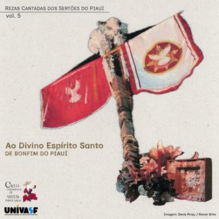 Imagem composta por colagens manuais de fotos sobre papel reciclado; fotos/colagens granuladas do mastro, bandeira, pombinhas e pequeno altar do Divino Espírito Santo de Bonfim do Piauí.